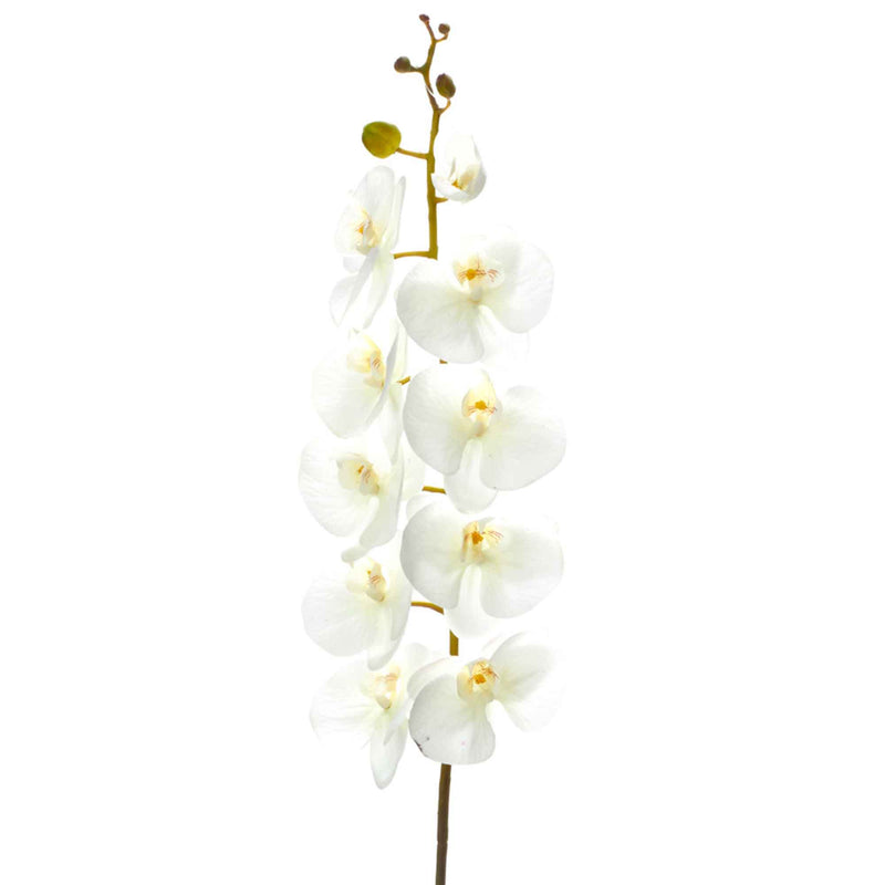Artificial Orchid Stem 30.25" - Events and Crafts-Events and Crafts