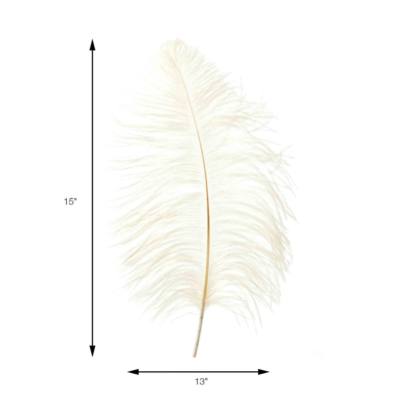 Events and Crafts  Ostrich Feather White