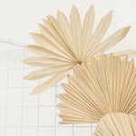 Round Mesh Arch - White - Events and Crafts-AestheTech