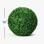 16 Inch Boxwood Topiary Ball - Events and Crafts-Elite Floral
