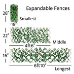 Expandable Ivy Lattice Fence - 6 Feet 10 Inches