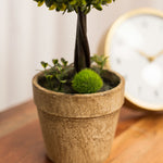 Artificial Boxwood Topiary Ball Bush 13" - Events and Crafts-Simple Elements