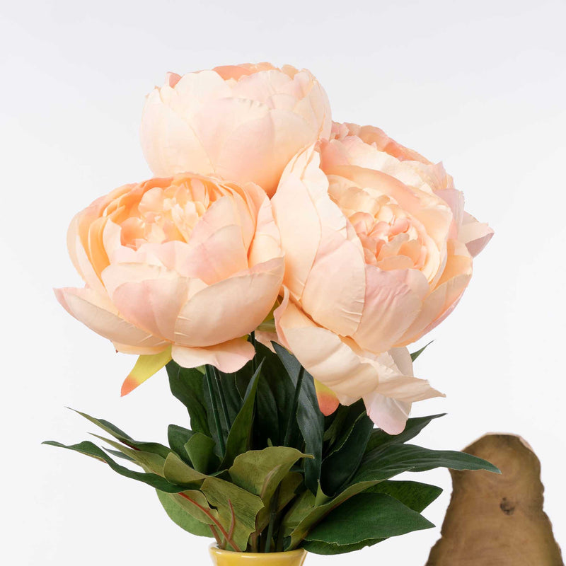 English Rose Bundle-Blush - Events and Crafts-Elite Floral