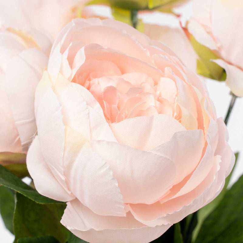 English Rose Bundle-Ivory Pink - Events and Crafts-Elite Floral