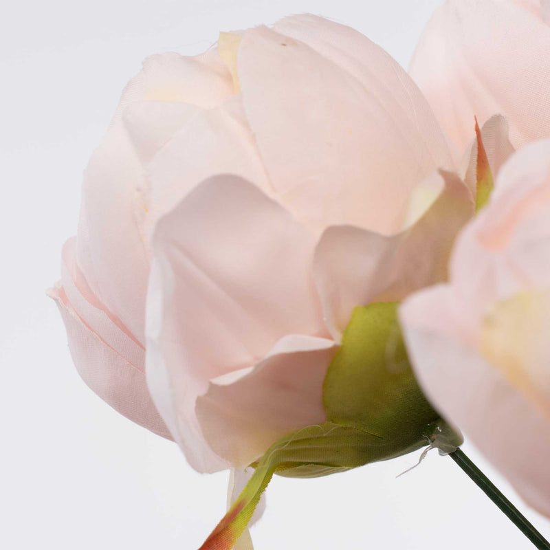 English Rose Bundle-Ivory Pink - Events and Crafts-Elite Floral