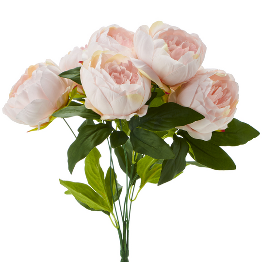 English Rose Bundle-Ivory Pink