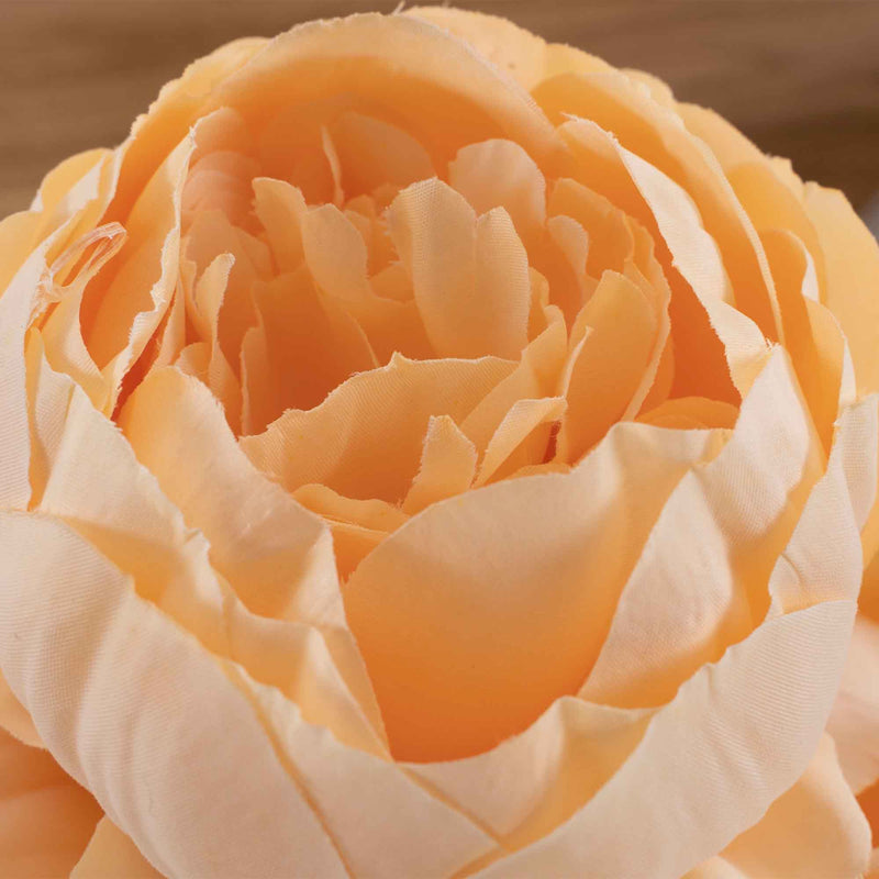 English Rose Bundle-Peach - Events and Crafts-Elite Floral
