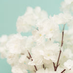 Faux Cherry Blossom Bunch-Ivory - Events and Crafts-Elite Floral
