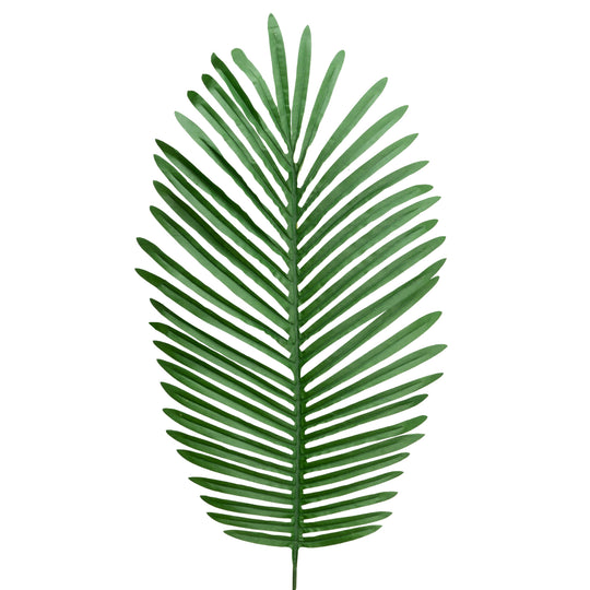 Artificial Feather Palm Leaves - 26.5 Inches - Set of 12