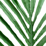 Artificial Feather Palm Leaves - 26.5 Inches - Set of 12 - Events and Crafts-Events and Crafts