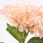 Economy Hydrangea Stem - Blush - Events and Crafts-Elite Floral