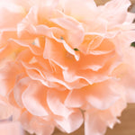 Economy Hydrangea Stem - Blush - Events and Crafts-Elite Floral
