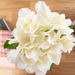 Economy Hydrangea Stem - Ivory - Events and Crafts-Elite Floral
