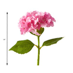 Economy Hydrangea Stem - Pink - Events and Crafts-Elite Floral
