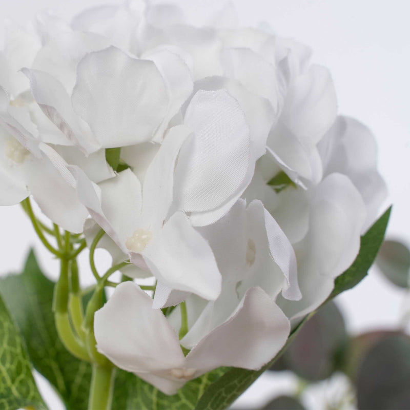 Economy Hydrangea Stem - White - Events and Crafts-Elite Floral