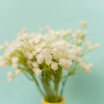 Artificial Baby's Breath Stem White - Events and Crafts-Simple Elements