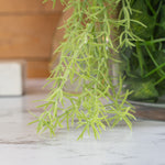 Artificial Weeping Podocarpus Spray - Events and Crafts-Elite Floral