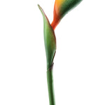 Artificial Bird of Paradise Stem - Events and Crafts-Simple Elements