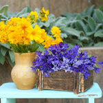 Rustic Planter Box with Plastic Liner - 8" x 4"