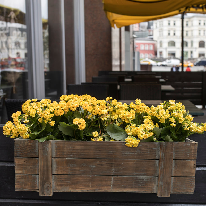 Rustic Planter Box with Plastic Liner - 18" x 5"