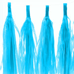 Tassel Garland - Modern Blue