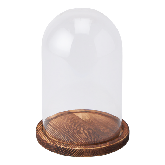 Glass Dome with Wood Base