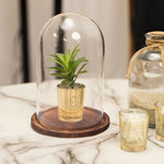 Glass Dome with Wood Base - Events and Crafts-Simple Elements