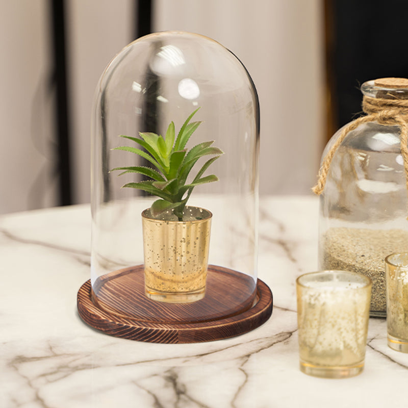 Large Round Glass Dome With Gold Wood Base | 15v12cm Round