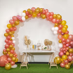 DIY Balloon Arch Kit