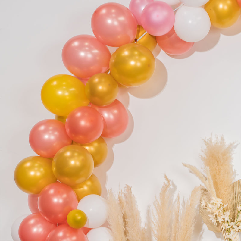 DIY Balloon Arch Kit