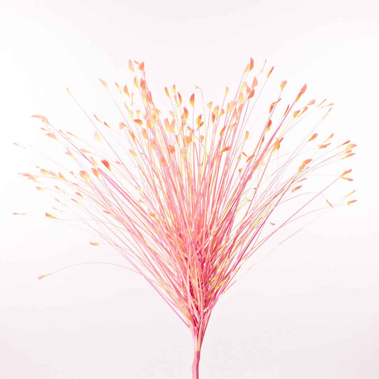 Metallic Onion Grass Spray Pick - Pink