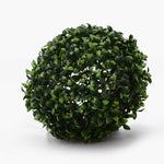 Boxwood Topiary Ball - Events and Crafts