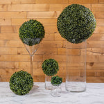 Boxwood Topiary Ball - Events and Crafts
