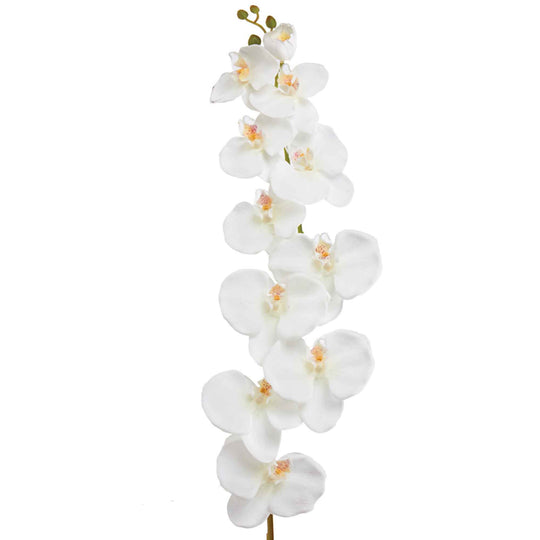 Faux Phalaenopsis Orchid 50"