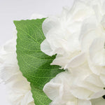 Faux French Hydrangea Bundle - Events and Crafts
