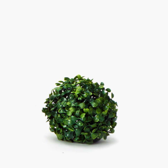 Boxwood Topiary Ball - 4 Inches