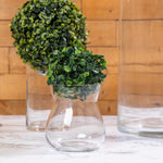 4 Inch Boxwood Topiary Ball - Events and Crafts-Events and Crafts