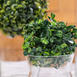 14 Inch Boxwood Topiary Ball - Events and Crafts-Events and Crafts