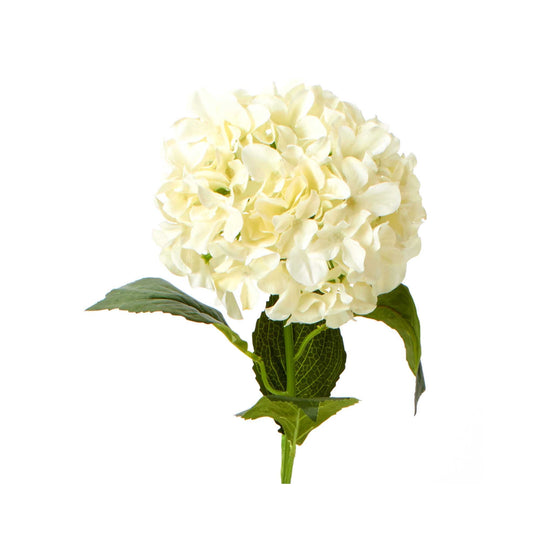 Deluxe Hydrangea Stem - Ivory