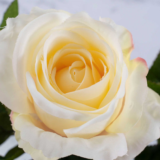 Artificial Cottage Rose Bouquet-Ivory
