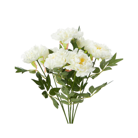 Deluxe Peony Bundle - Cream