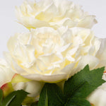 Deluxe Peony Bundle - Events and Crafts-Events and Crafts