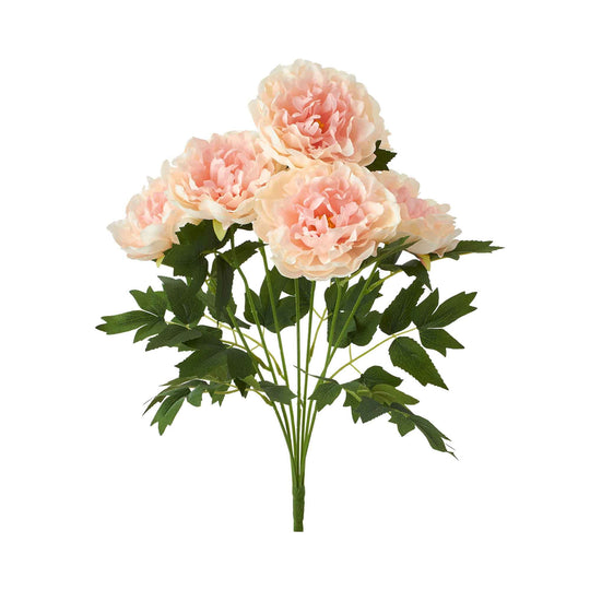 Deluxe Peony Bundle-Blush