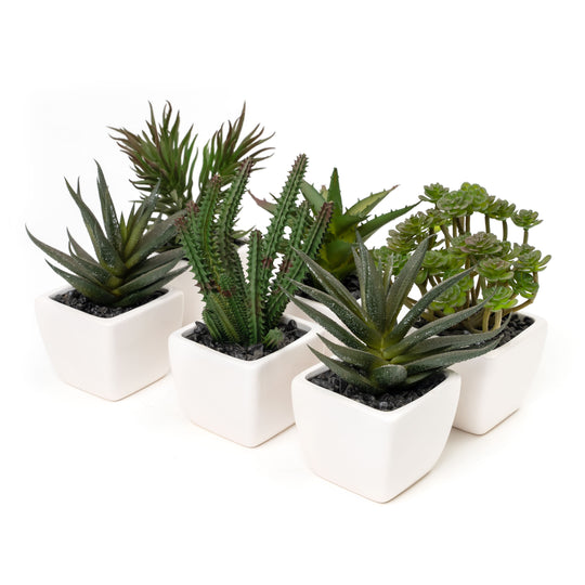 Potted Decorative Faux Succulents Set of Six