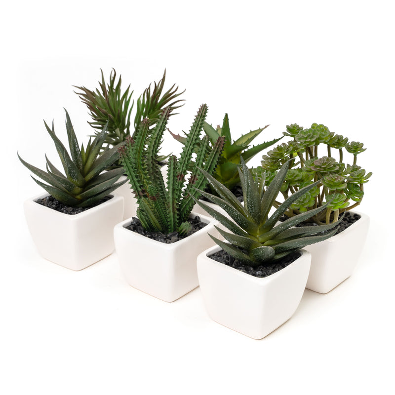 Potted Decorative Faux Succulents Set of Six - Events and Crafts-Simple Elements