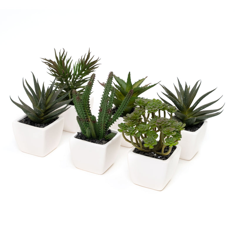 Potted Decorative Faux Succulents Set of Six - Events and Crafts-Simple Elements