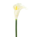 Artificial Cala Lily Stem  - Set of 6 - Events and Crafts-Events and Crafts