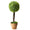 Medium Boxwood Topiary Plant - Events and Crafts-Events and Crafts