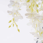 Large Wisteria Branch - Events and Crafts-Events and Crafts