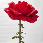 Giant Artificial Rose - Events and Crafts-Events and Crafts